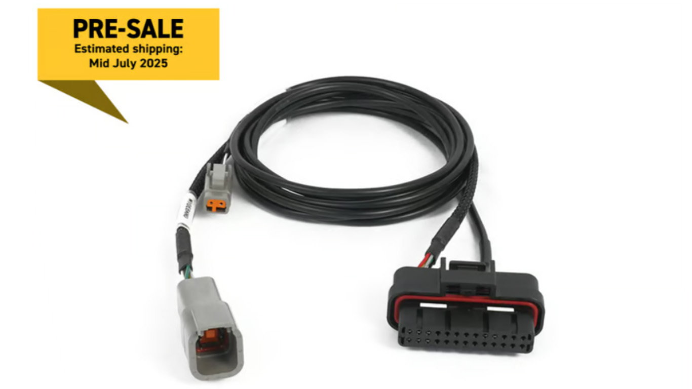 Haltech plug and play harness